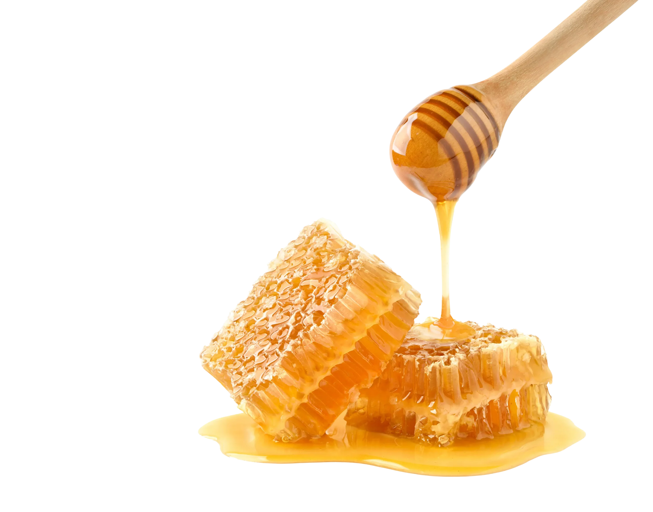 Kupas Tuntas Madu Murni: Dari Sarang Lebah Hingga Manfaatnya untuk Anda