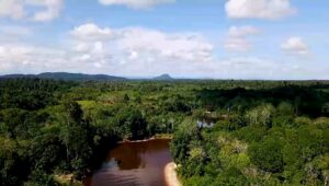 VID-20250926-WA0010(1)